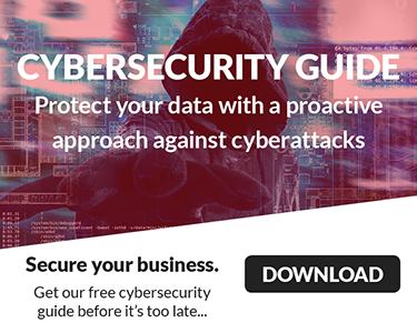 Cybersecurity Guide