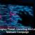 Phishing Scams Evolve With Sneaky New Tricks